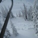 <b>Crested Butte Mountain Resort 12/23/10</b>
