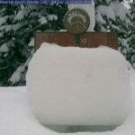 <b>Crested Butte Mountain Resort 12/18/10</b>