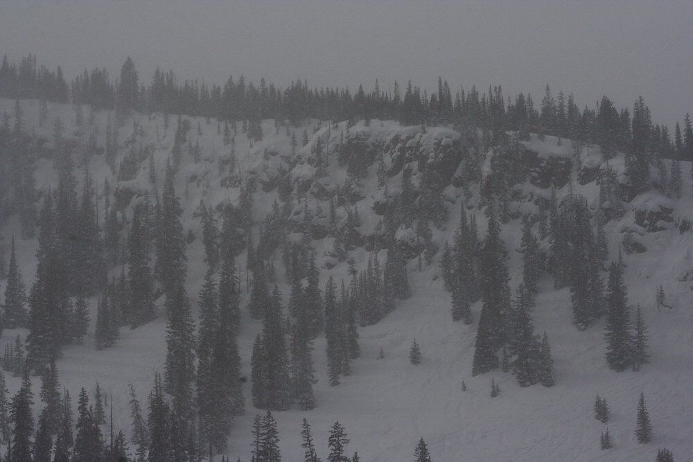 Snowboarders Sheidow and Vandenbroek Win Colorado Freeride Championships at Snowmass