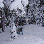 <b>Mt Baker Powder</b>