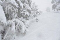 March Madness 260″ of Snow in a Month at Mt Baker