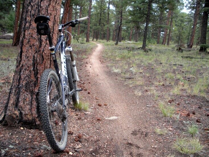 MTB Trail of the Week Buffalo Creek Trail Mountain Weekly News