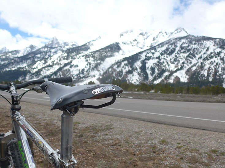 Selle Antamoica Leather Saddle