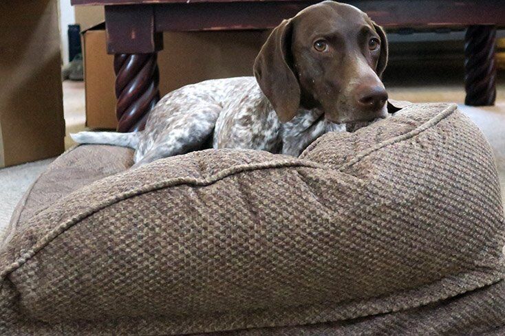 5-memory-foam-dog-bed-buffalo-plaid - Orvis News