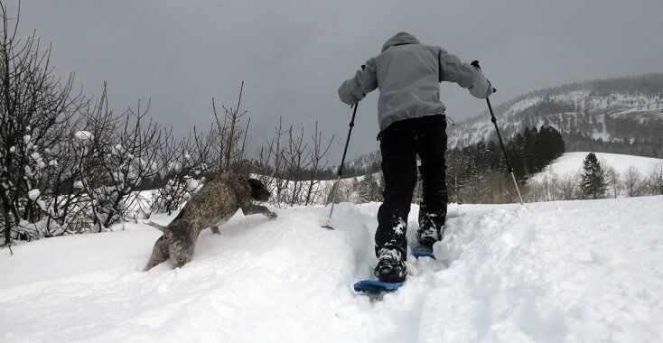 MSR Lightning Ascent Snowshoes Review - Mountain Weekly News