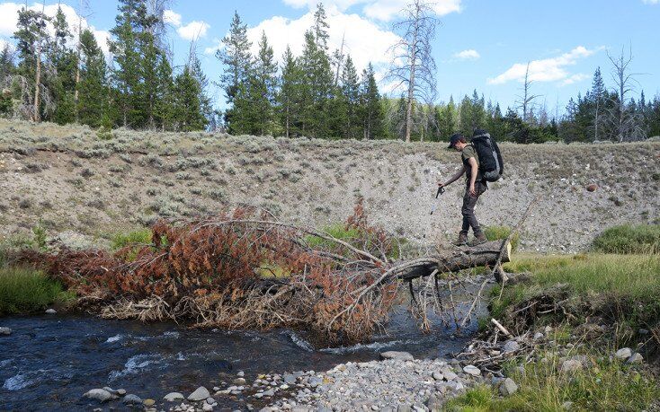 Crossing a Stream in Absorka Mountains
