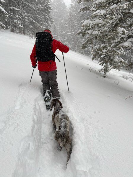 BURTON　SPARK R&D　バートン　スパーク　HITCHHIKER