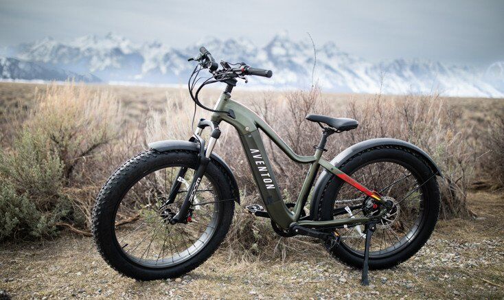 Aventon Aventure Review - Mountain 