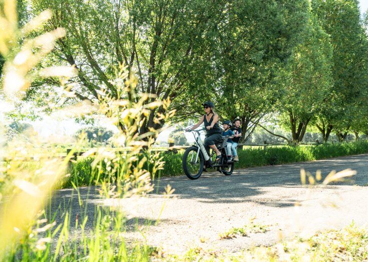 Radio Flyer E-Bike