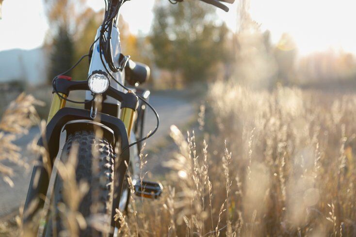 beefy E-Bike Tires