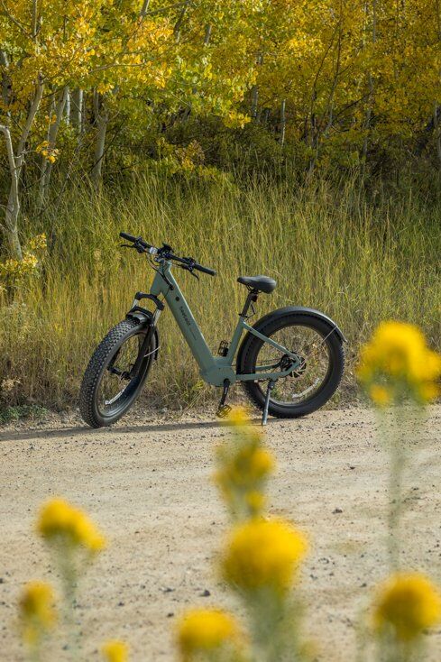 Freebeat E-Bike with Flowers in Background