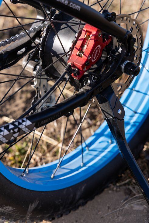 Rear Hub Motor
