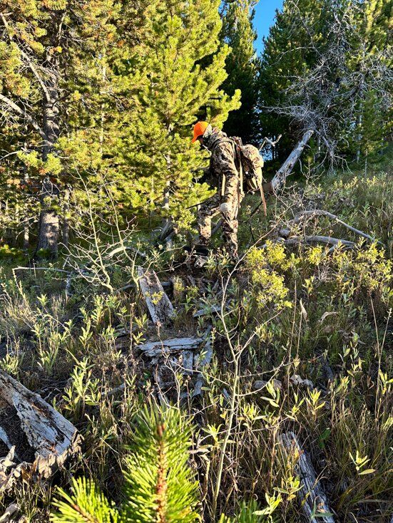 Man Walking Through Brush While Hunting