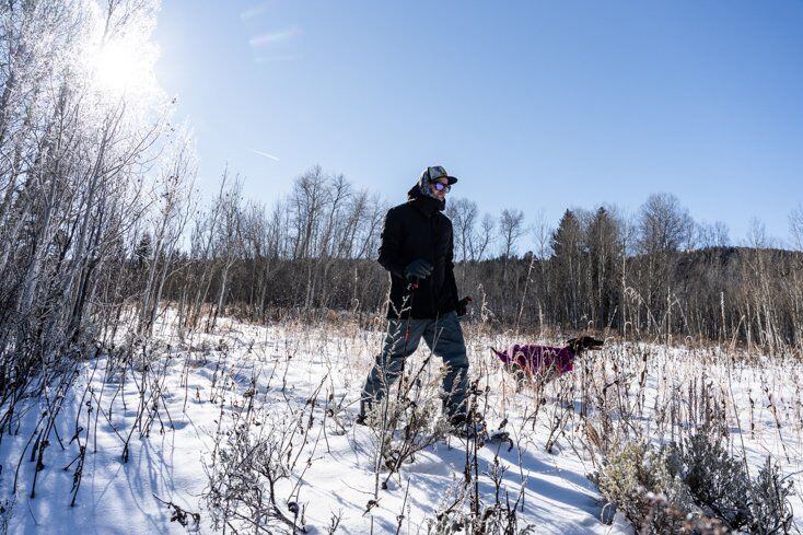 Man and Dog Snowshoeing