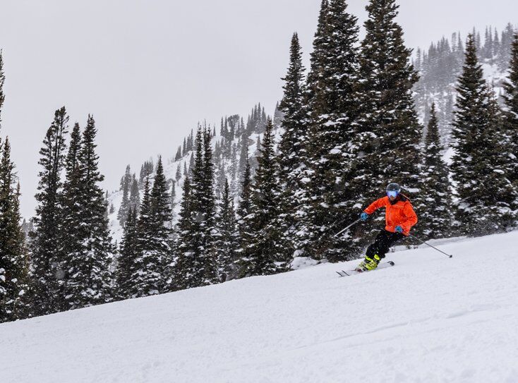 Connor Burkesmith Skier Jackson Hole Mountain Resort