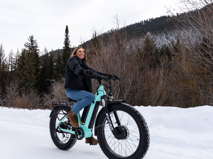 E-Bike with Dual Motors
