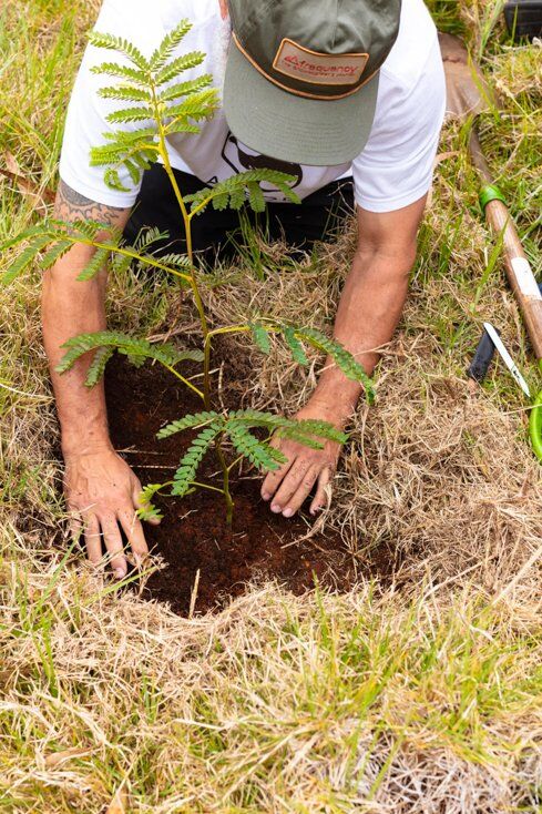 Arbor Snowboards Plants Trees