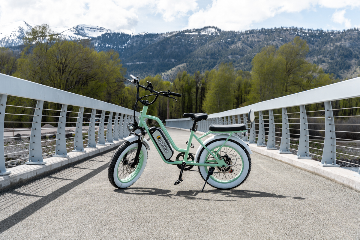 E-Bike with Large Battery