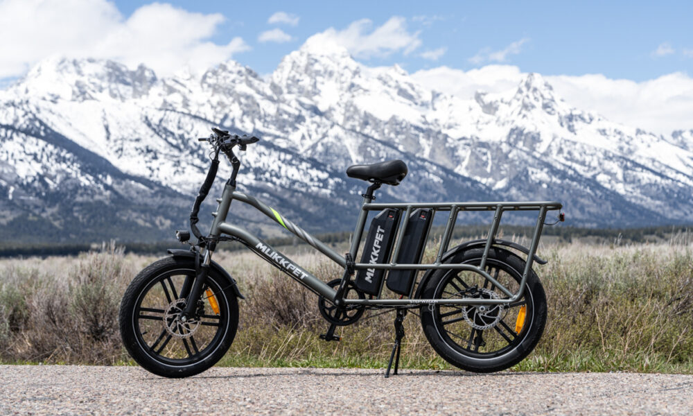 Mukkpet Stepwagon E-Bike Review Mukkpet Stepwagon Cargo E-Bike