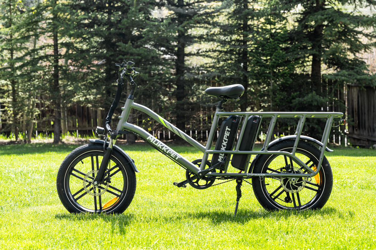 E-Bike with Extended Rack