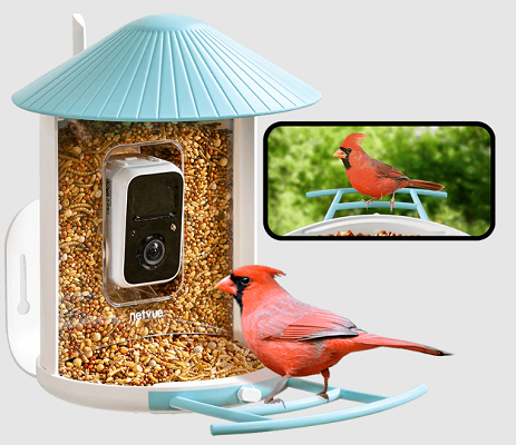 Bird Feeder Camera