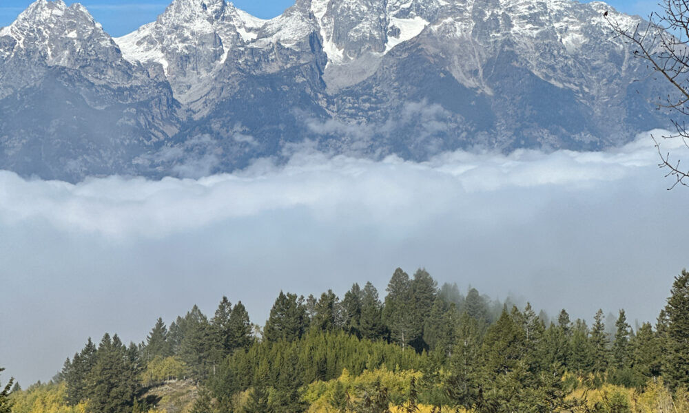 Bridger Teton National Forest
