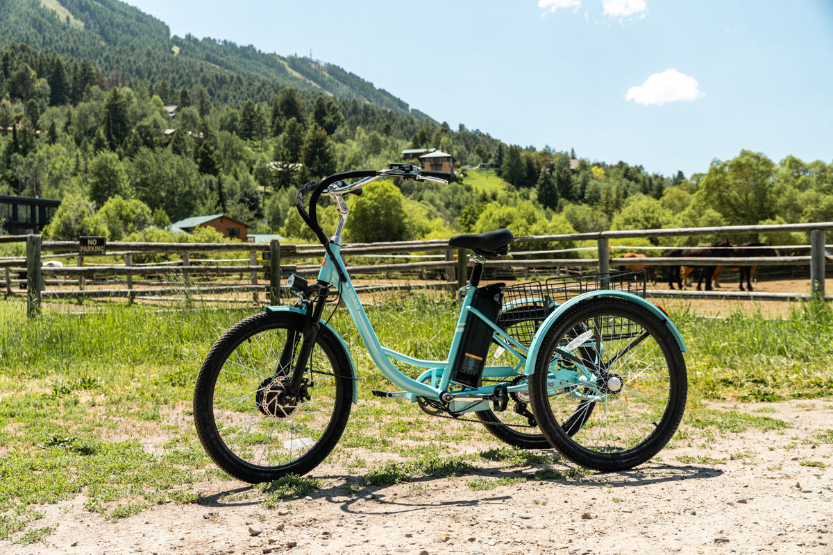 Trike E-Bike Motor and Battery