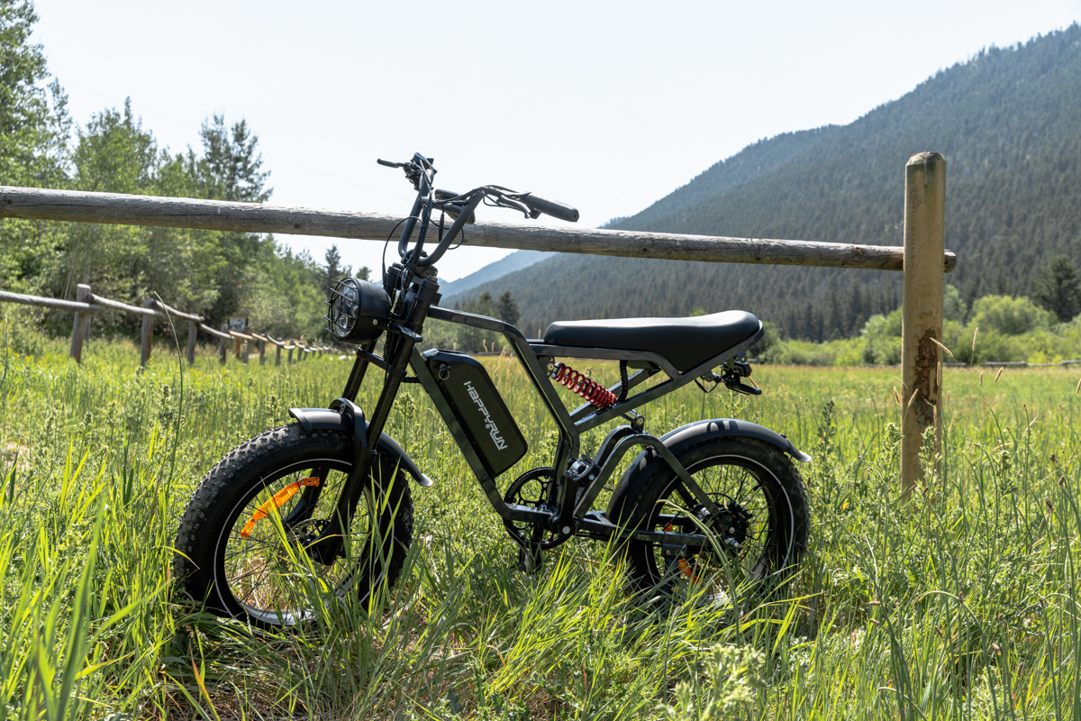 Large E-Bike Battery