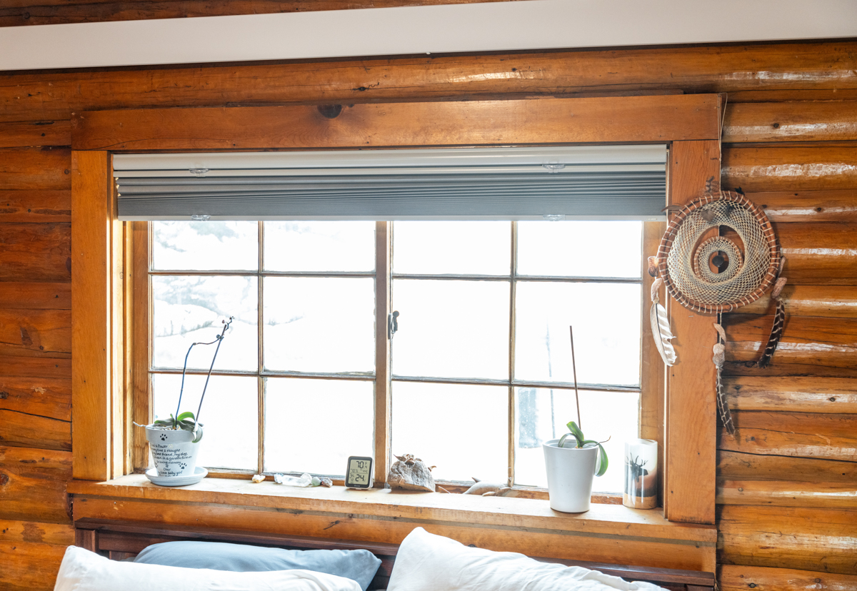 Single Cell Construction