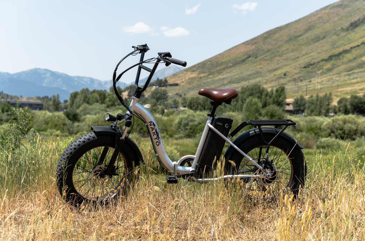 Great Looking E-Bike