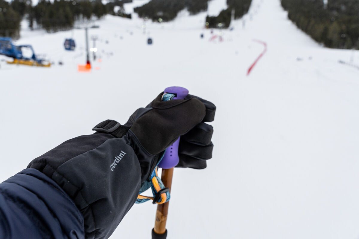 Man Holding Ski Poles