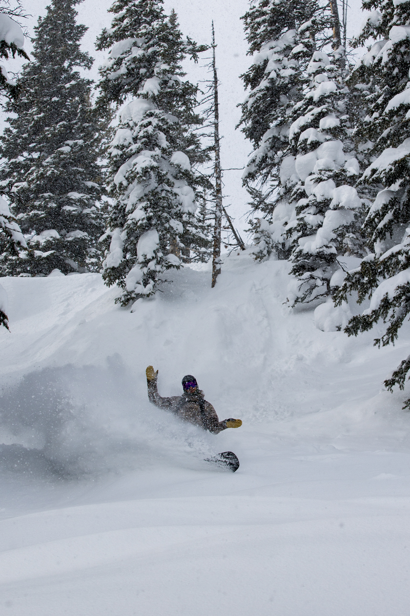Jackson Hole Powder Snowboarder