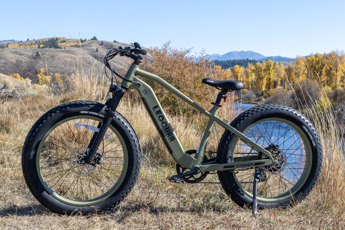 Green Leoguar Fastron E-Bike Next to River Fall Leaves