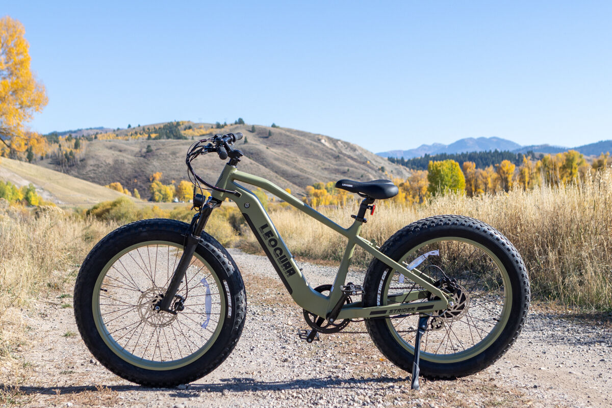 E-Bike in Mountains with Fall Leaves
