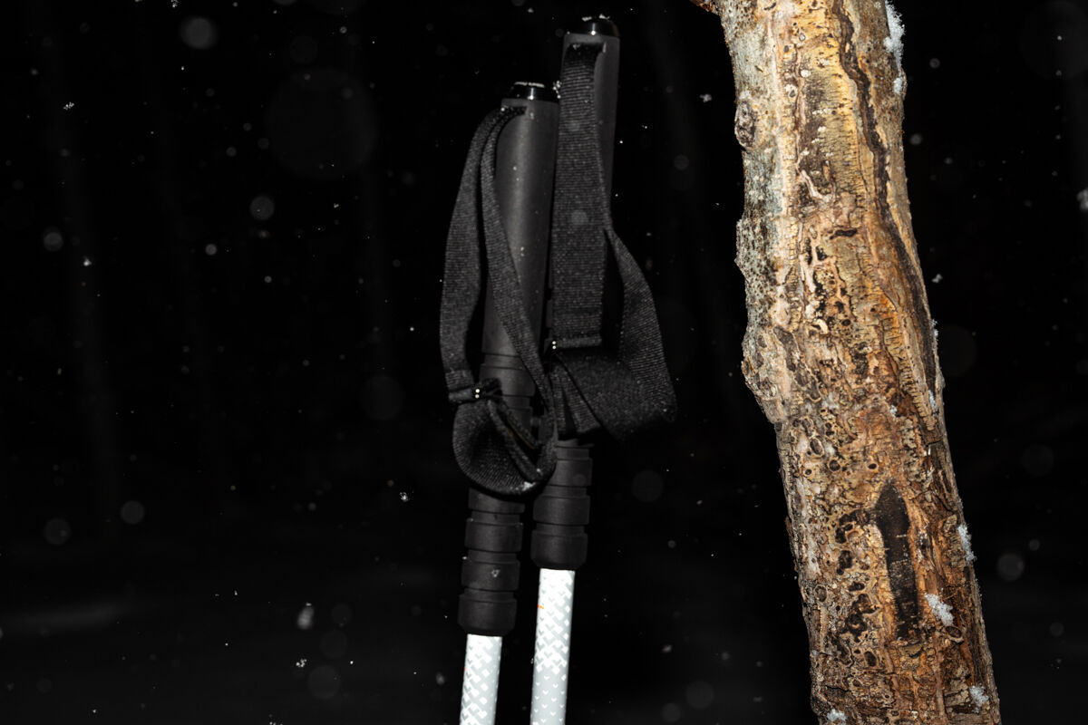 Black Crows Ski Poles