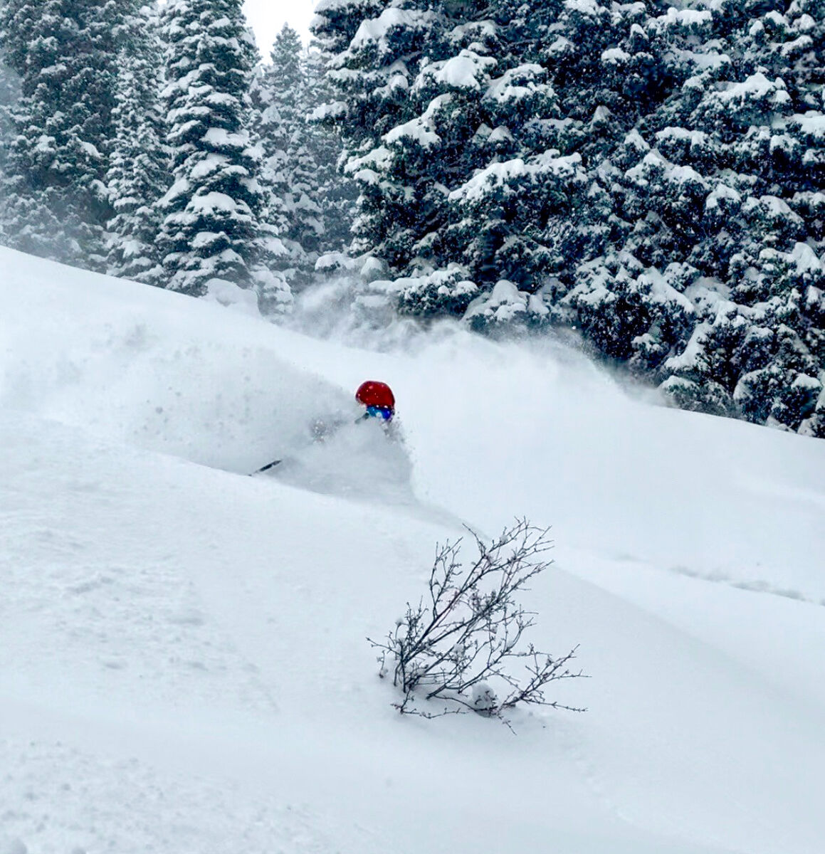 Face Shots for Days on Skis