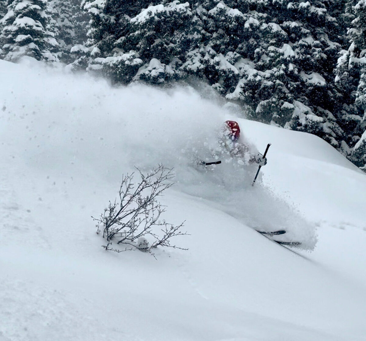 Marty Guinta Skiing Deep Powder