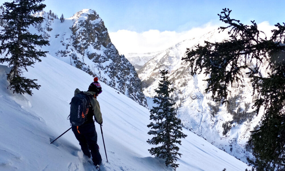 Skier in the Tetons