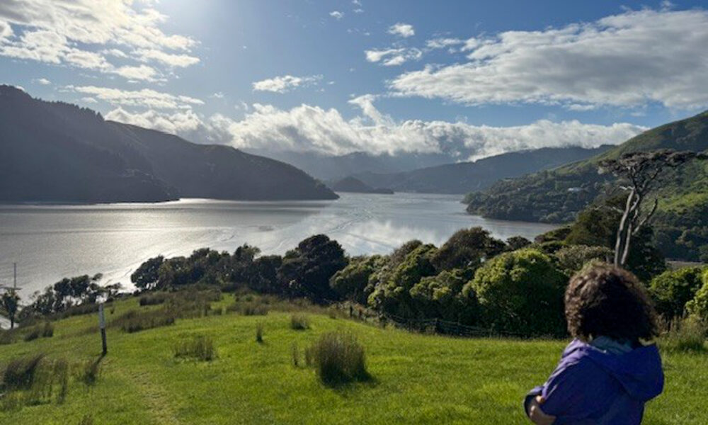 Arc’teryx Beta LT Rain Jacket Review Man Testing Ar'ctery Jacket