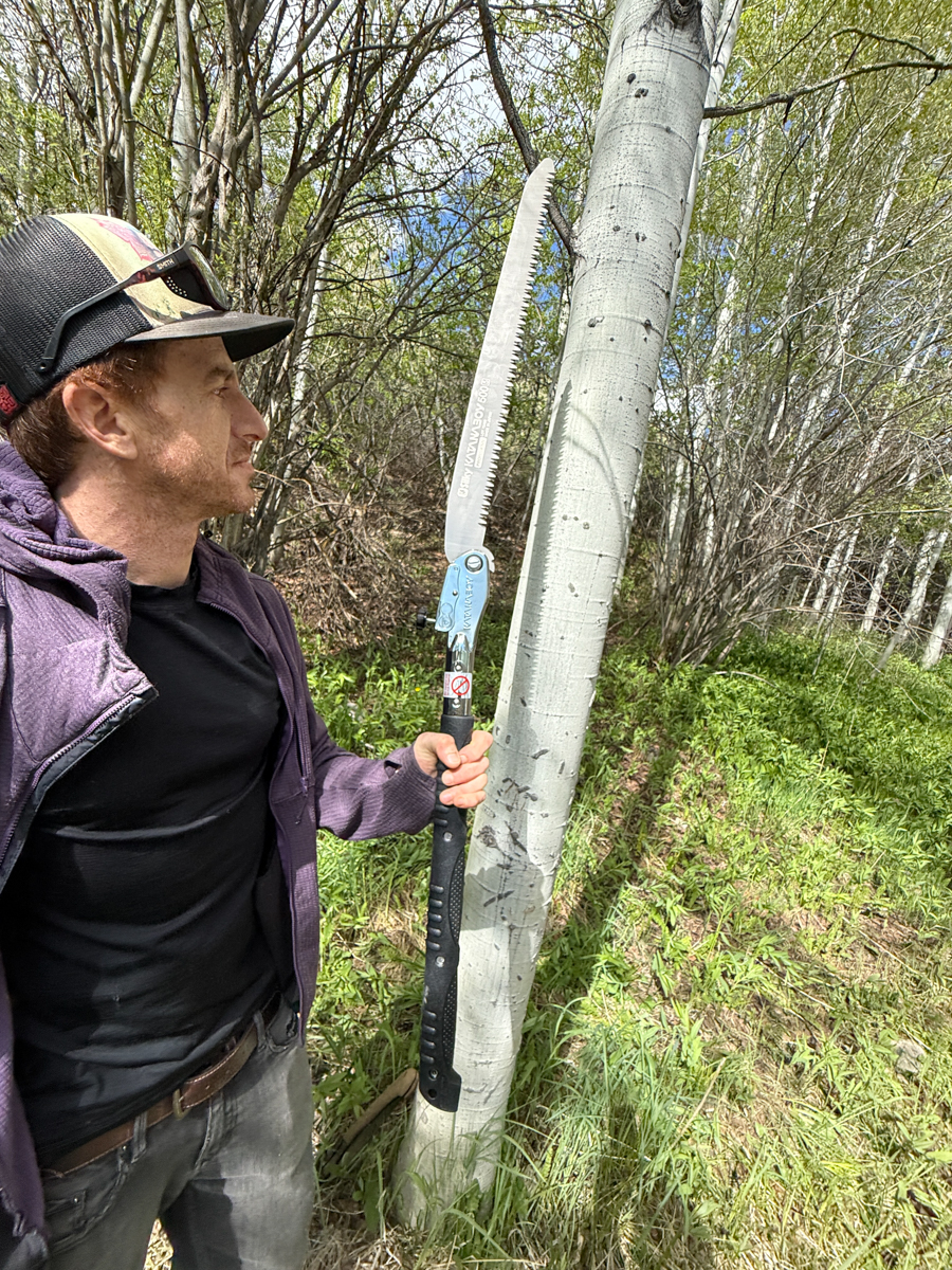 A Saw for Tough to Reach Places