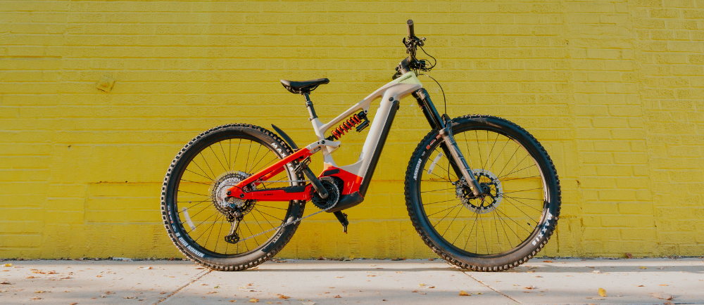 E-MTB
