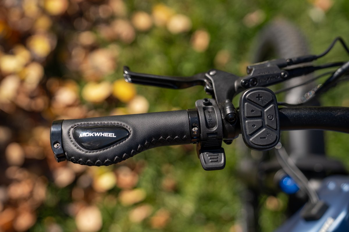 E-Bike Controls