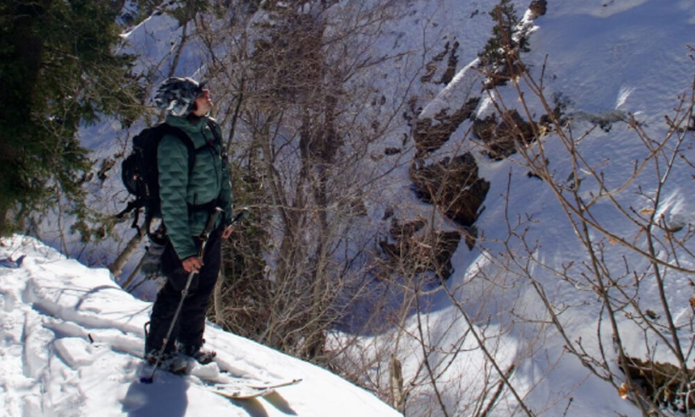 Man Wearing Green Puffy Jacket in MTNS