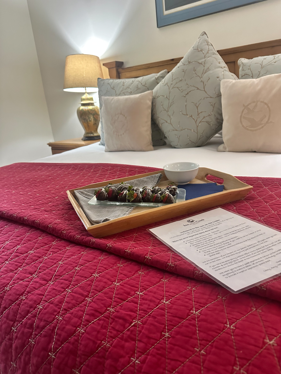 Chocolate Covered Strawberries