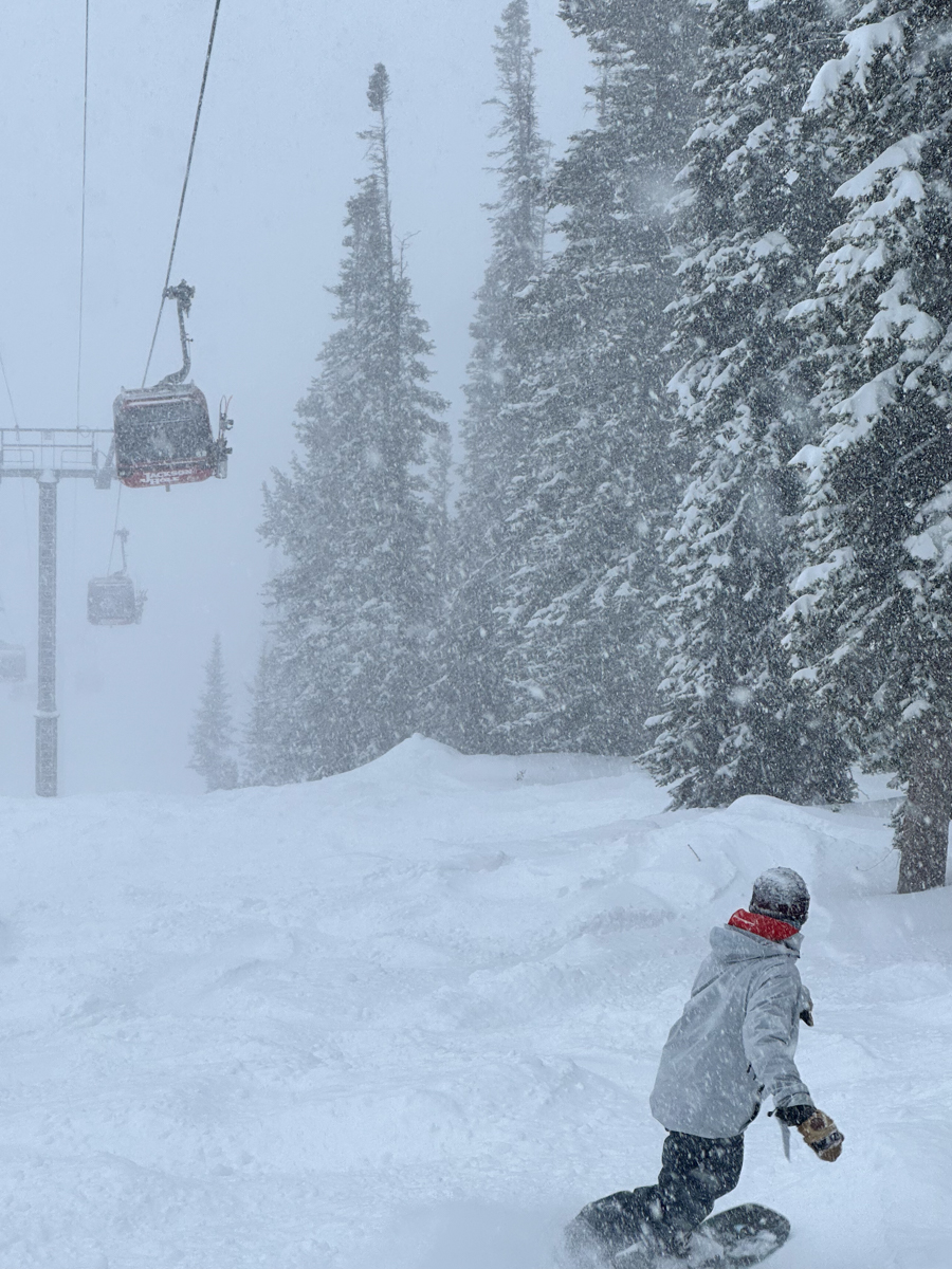 Snowboard Jacket Jackson Hole