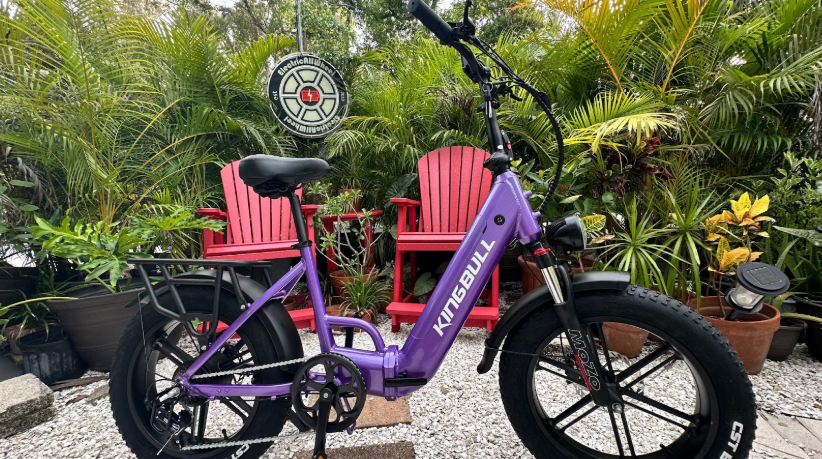 Affordable E-Bike