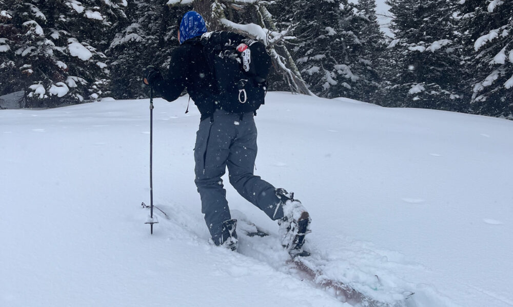Stellar Equipment Shell 2.0 Pant Review from Splitboarding