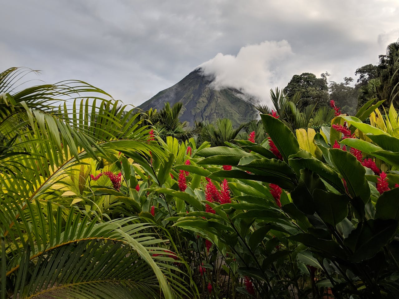 Colorful Jungle La Fortuna, Provinz Alajuela, Costa Rica