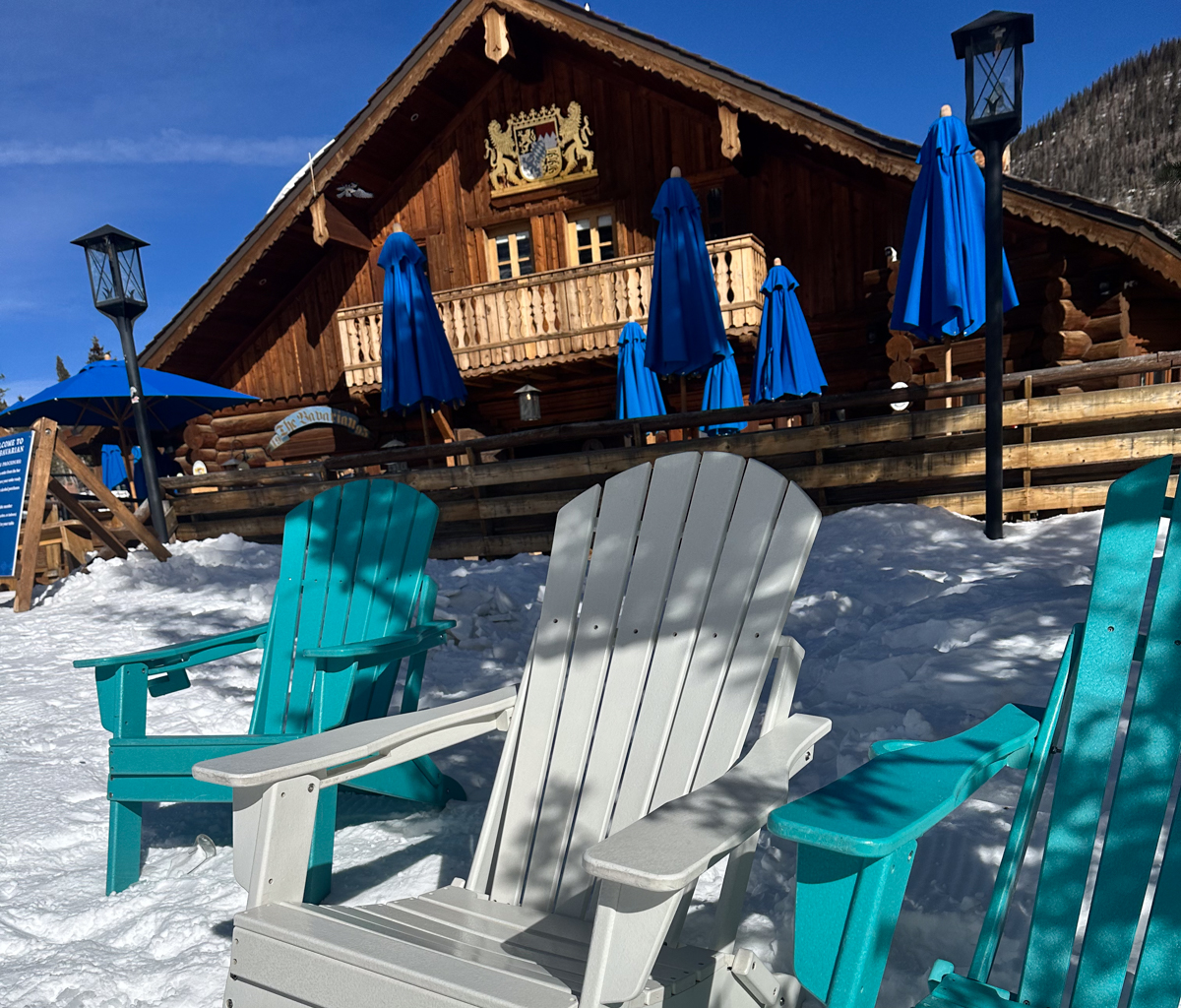 Real Alpine Skiing