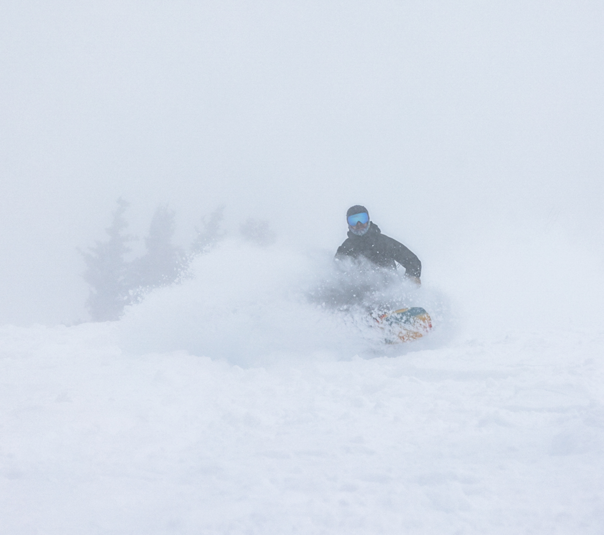 Jackson Hole Powder Day